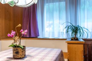 Apartment Christian - Ortisei - 9
