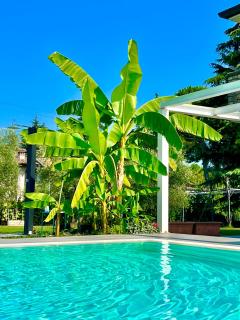 B&B Controvento Soiano - Soiano del Lago - 3