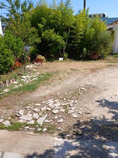 ALANA COZY PLACE - Limenaria - 6