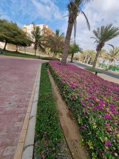 Studio marina B sea view - King Abdullah Economic City - 3