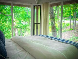Treetop 3bd3badeckpoolsgrilldock-sleeps 8pp - Four Seasons - 5
