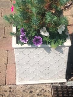 Community Courtyard Bungalow Apartment - Drogheda - 1