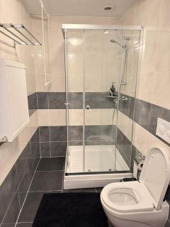 Bucharest Airport & Therme Apartments - Otopeni - 3