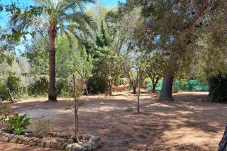 La Casita - Beniarbeig - 9
