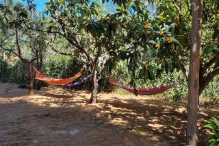 La Casita - Beniarbeig - 6