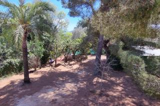 La Casita - Beniarbeig - 4