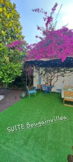 SUITE Bougainvillea - Lliçà d'Amunt - 8