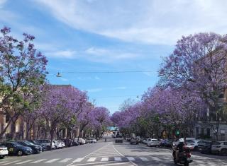 Maestrale di Sardegna - Cagliari - 9