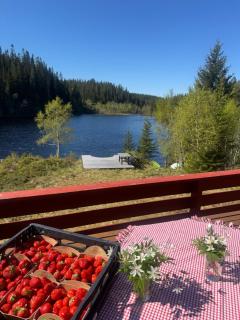 Lakeside cabin - - 8