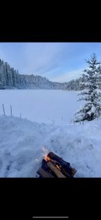 Lakeside cabin - - 1