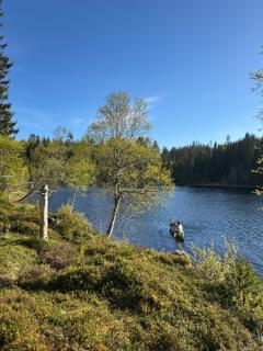 Lakeside cabin - - 7