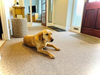 2 Bed in Windermere SZ579 - Windermere - 6
