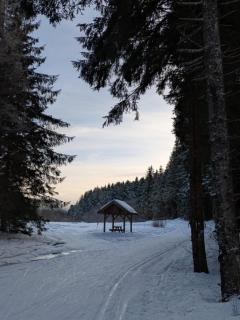 Sous les Etoiles du Bugey - Tenay - 1