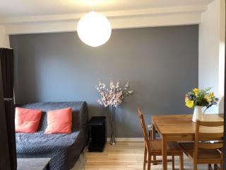 New Built Apartment Hokusai-kan Osaka Nishinari - Wada - 5