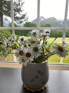 Heinåli apartment - 5