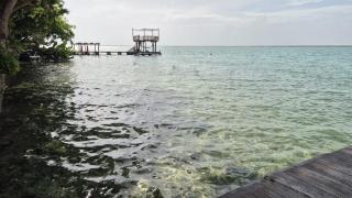 Bungalows Luxury - Buenavista - 3