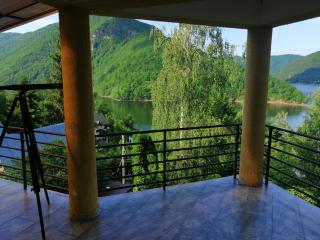 Casa de vacanță Tarnița - 2