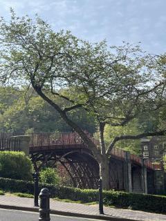 The Tontine Hotel & Bar - Ironbridge - 4