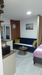 Apartman Vuk 15 - Kravlja - 4