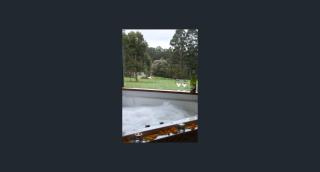 Walpole Wilderness Resort - Walpole - 5