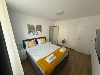 Brasov Vivo Apartment - Braşov - 5