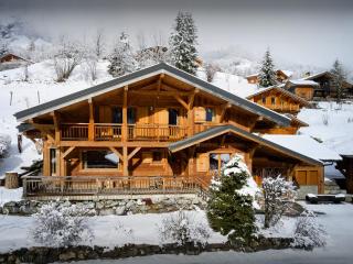 Chalet La Canopée - OVO Network - 0