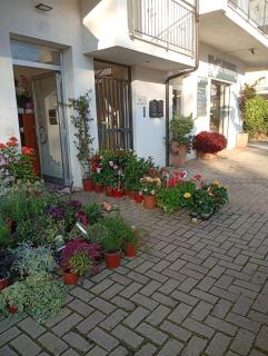 Appartamento vicino al mare - Praia a Mare - 1