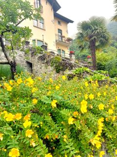 Villa Silvana - Perledo - 6