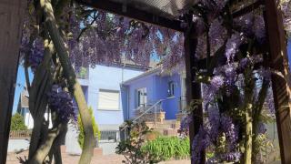 Appartement entier, calme, confortable et spacieux - Gundershoffen - 9