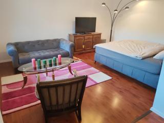Artcool Apartment with garden and garage - Sarajevo - 6