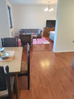 Artcool Apartment with garden and garage - Sarajevo - 5