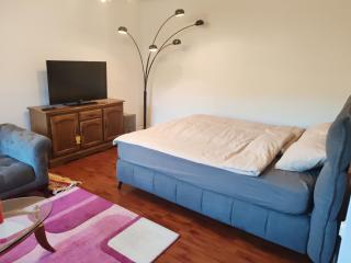 Artcool Apartment with garden and garage - Sarajevo - 7