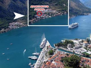 Apartments Andrija - Kotor - 4