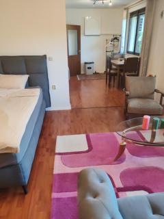Artcool Apartment with garden and garage - Sarajevo - 8