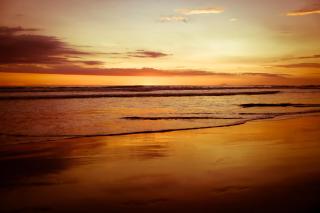 Griss Lodge & Spa - 4