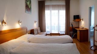 Hotel Victoria - Brig - 9