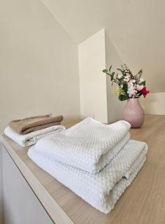 Habitación con cocina en Gante - Gand - 5