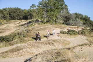 Modern & Cosy Holiday Cottage with Patio & Fenced Garden near Dunes & Beach - Koksijde - 1