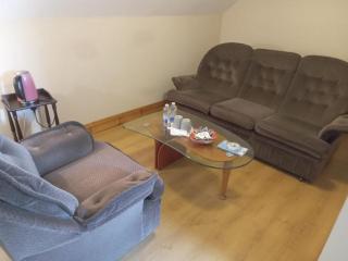 Ballytigue House - Clarecastle - 9