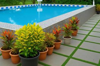 Candoliam Cottages and Deluxe - Candolim - 0