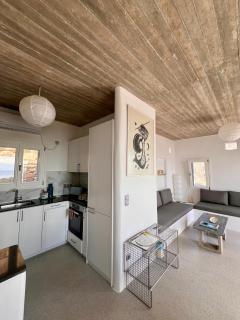 Villa Petra - Andros - 8
