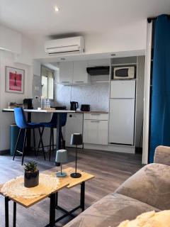 Studio rénové marche Forville Cannes - Cannes - 7