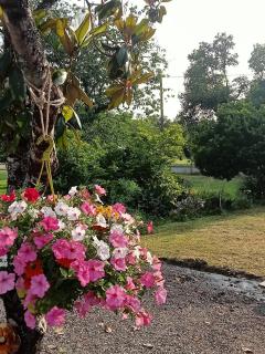 le petit moulin - Montendre - 3