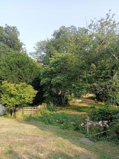 le petit moulin - Montendre - 4