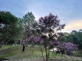 Cabana Cavalheiros - São José dos Pinhais - 6