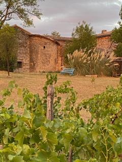 Les vins de Rouyré - Maison, 4 pers, grand jardin, bain nordique - 9