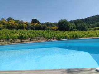Gîte en provence au coeur des vignes - Villedieu - 3