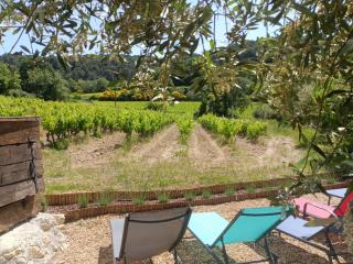 Gîte en provence au coeur des vignes - Villedieu - 4