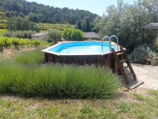 Gîte en provence au coeur des vignes - Villedieu - 5