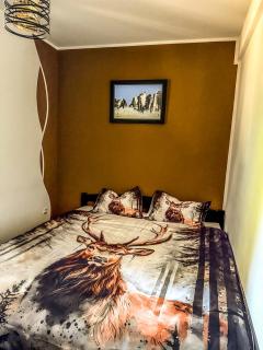 Vila Bašić Vlašić Spa Apartman JELEN - Vlasic - 2